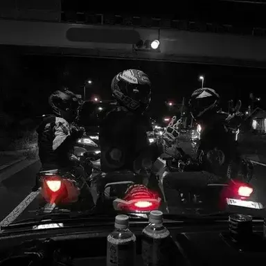 Profile image of Rocco