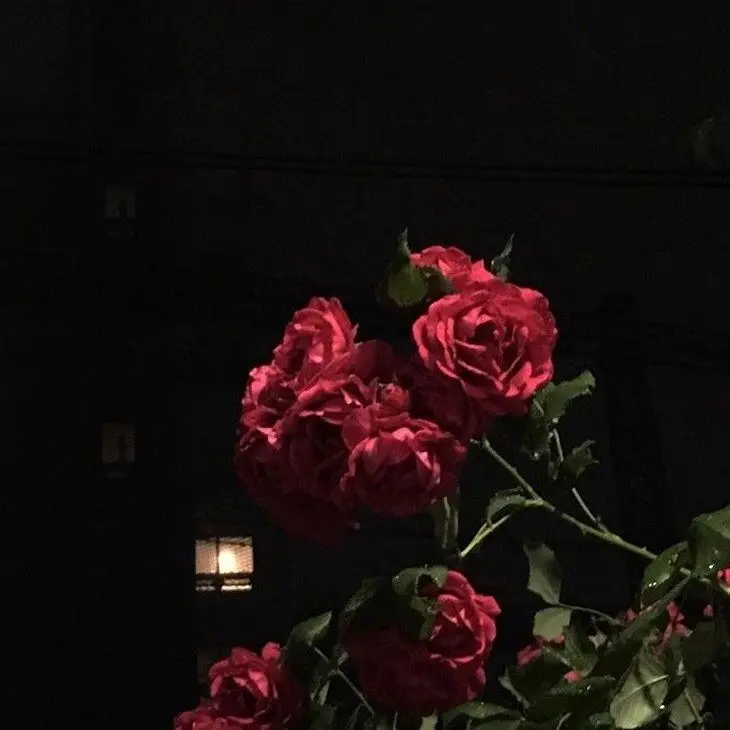 _Daydreamer_의 개인용