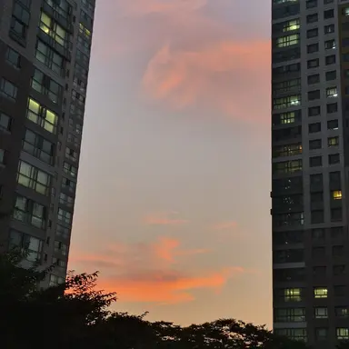 Profile image of 미수반