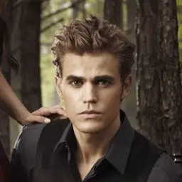 Profile image of Stefan Salvatore