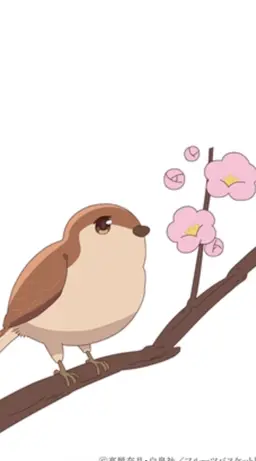 Profile image of 紅野