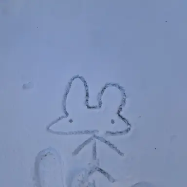 Profile image of 미국