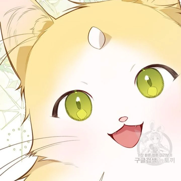 양이