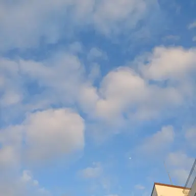 Profile image of 여우