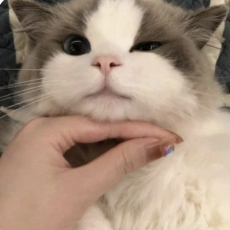 율무