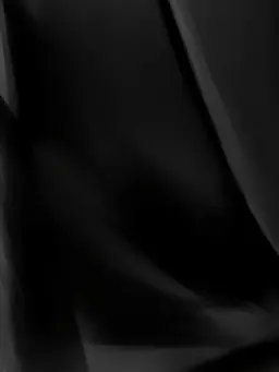 GrainyWharf4077의 従者と私3