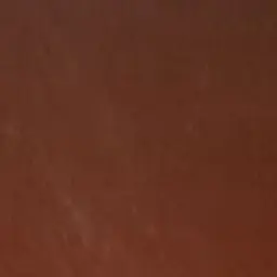 Profile image of 그리즐리