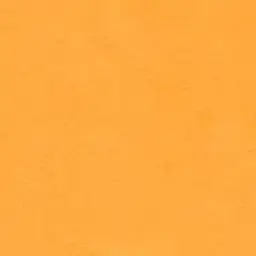 Profile image of やなと