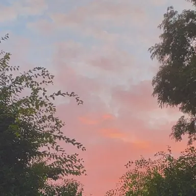 Profile image of 한미연