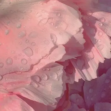 Profile image of 신나빈