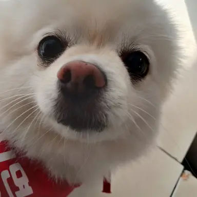 Profile image of パク・ドッケ