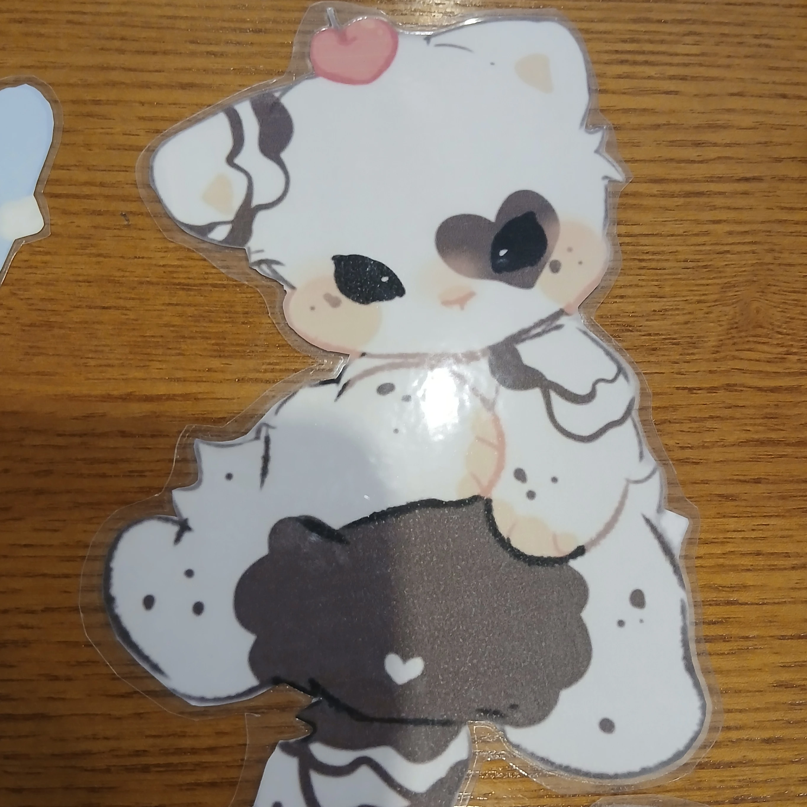 쿠키