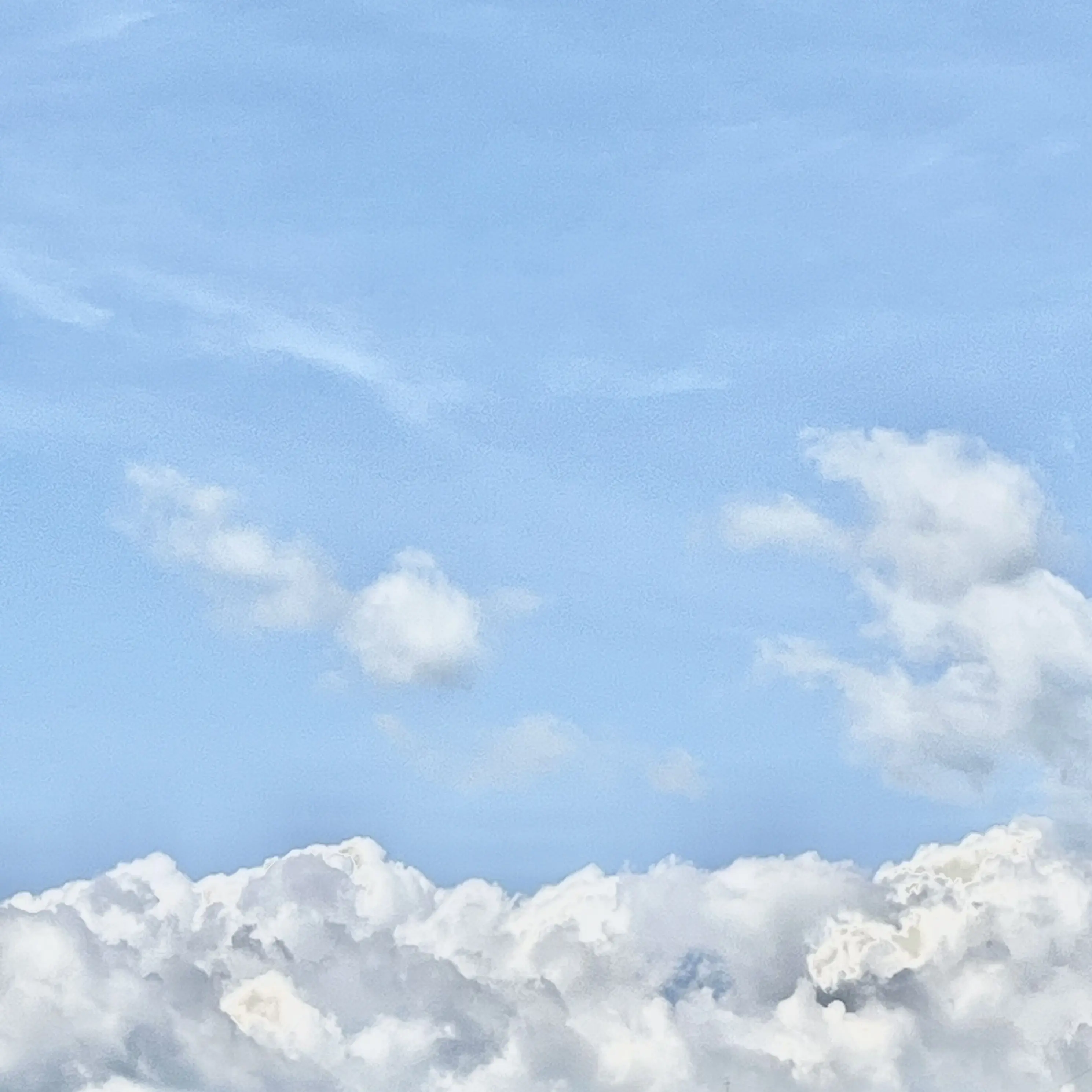 BadEel9346의 무이랑내기에서져서제로투를해야한다?!