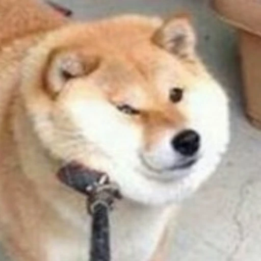 시바