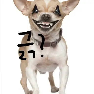 Profile image of 카쿠