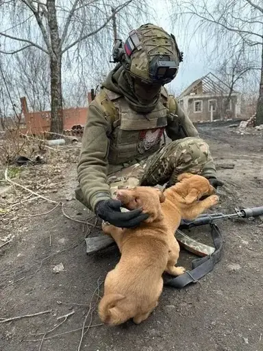 Profile image of Mikhail