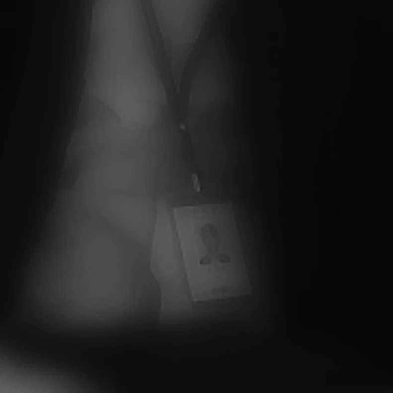 배영재