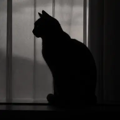 Profile image of チソン