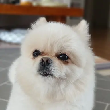 Profile image of 지유