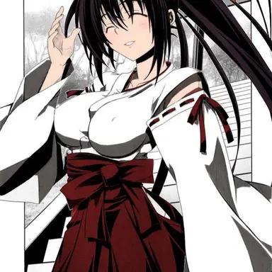 Profile image of Akeno Himejima