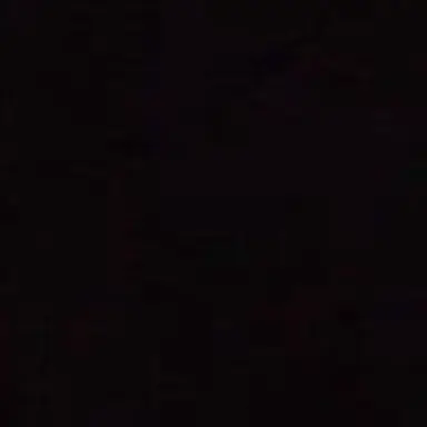 Profile image of 風間公親