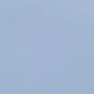 TautTent3654의 밤보눈 공룡