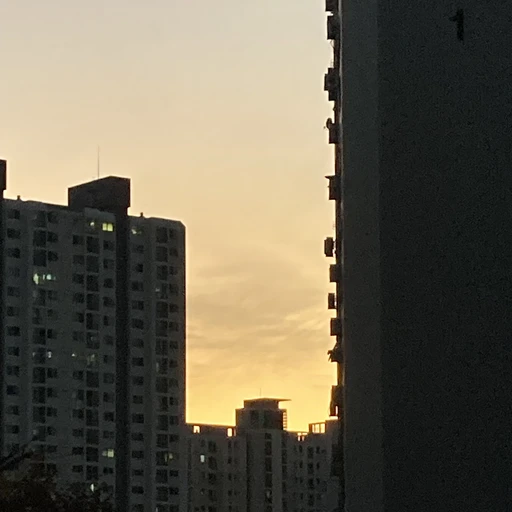K-POP 아이돌이 되.