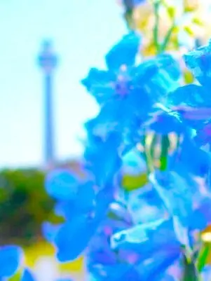 Nemukezamashi의 学園生活ー！！！！
