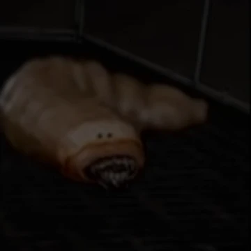 드림