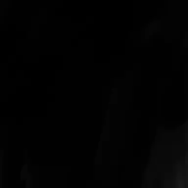 Profile image of 치와와