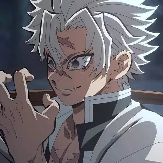 시나즈가와 사네미