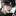 최현우