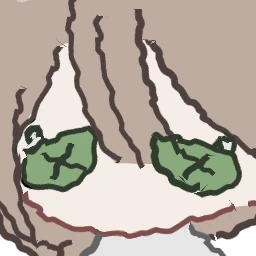 아멜리아 그린