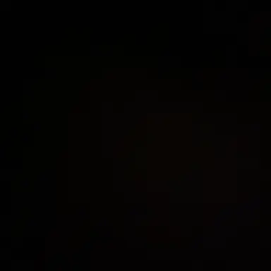 Profile image of 강영현