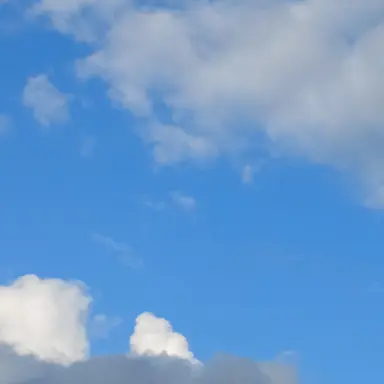 Profile image of 홀리베리 쿠키