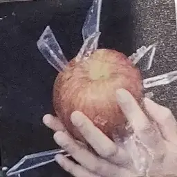 Profile image of 배진솔