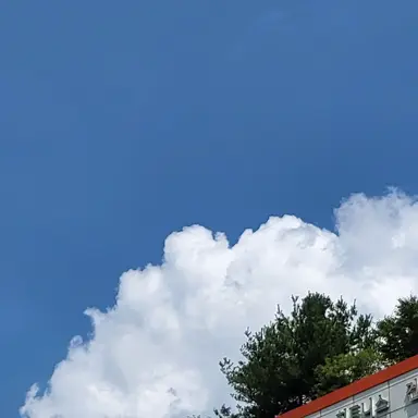 Profile image of 설윤아