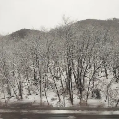 Profile image of 류