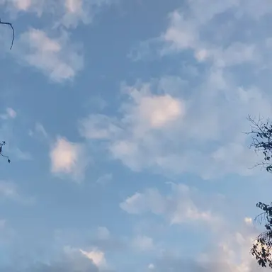 Profile image of 잭