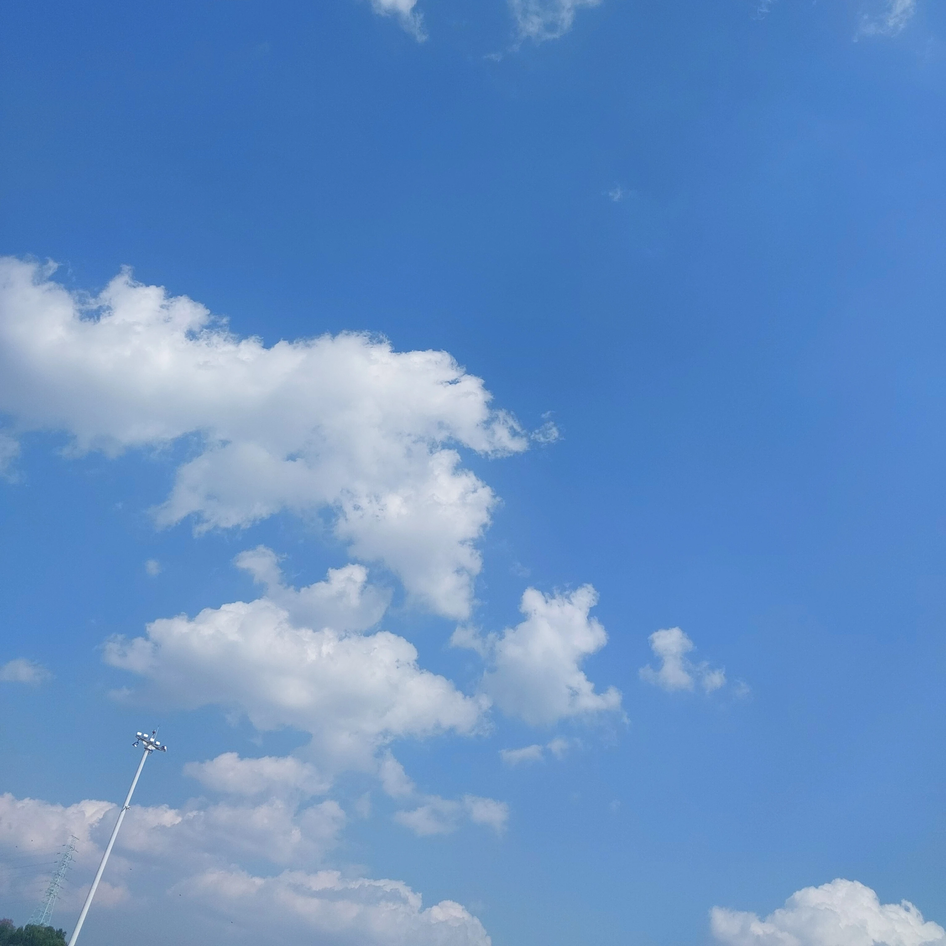 리온
