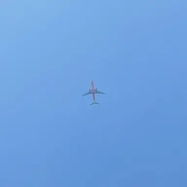 Profile image of 오뉴