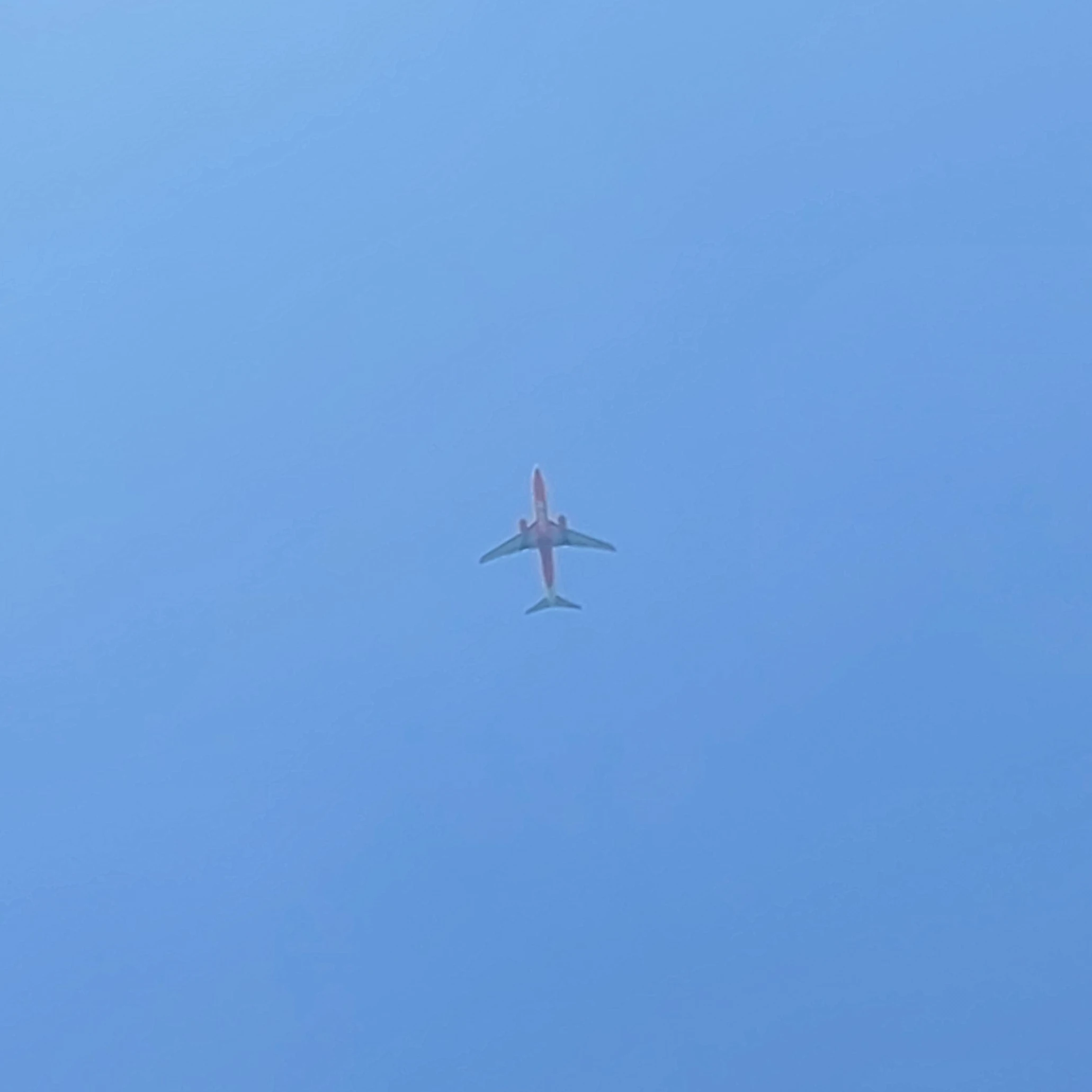 오뉴