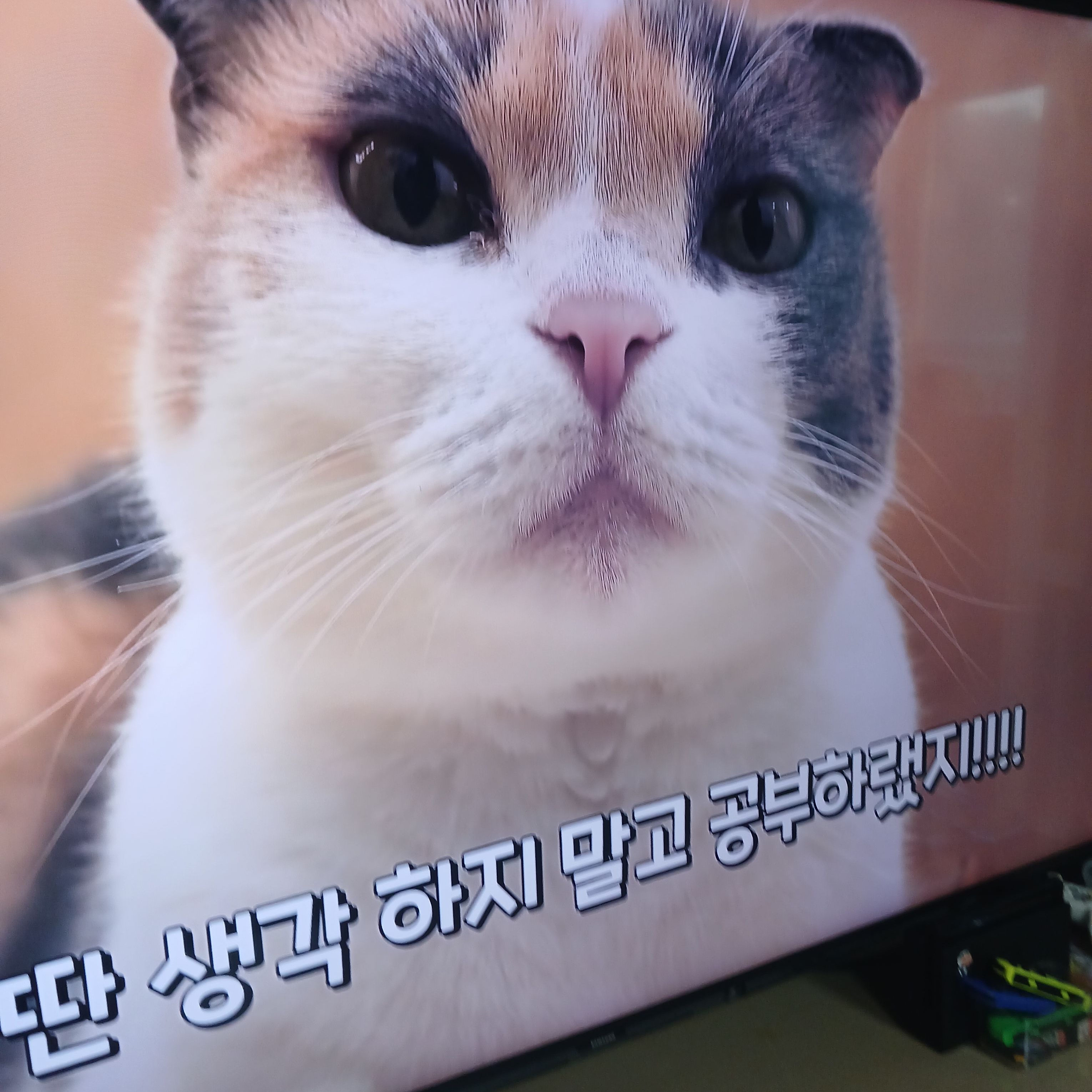 나쁜가족 대표 이미지