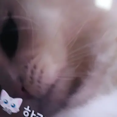 Profile image of 크림