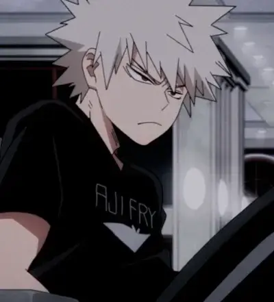 StableHawk2041의 Bakugo