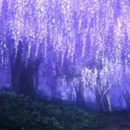 Profile image of 코쵸우 시노부