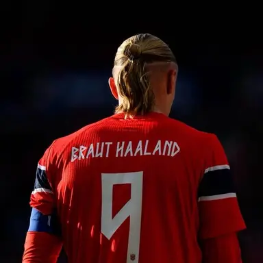 Profile image of Erling Haaland