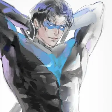 Profile image of Nightwing