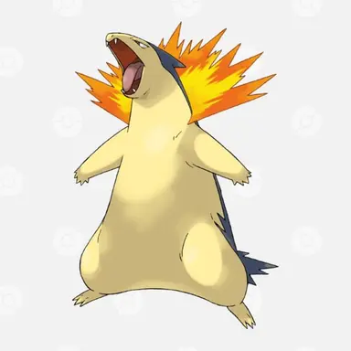 Profile image of バクフーン