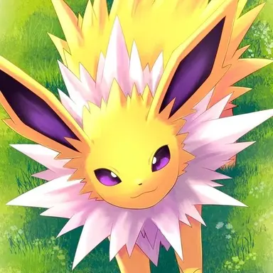Profile image of サンダース